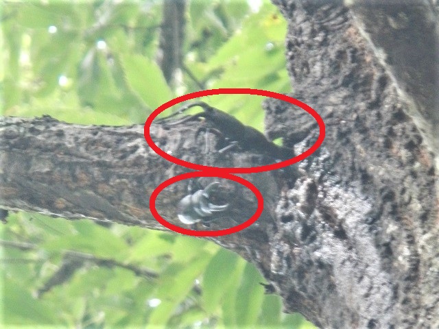 �m�R�M����x2��