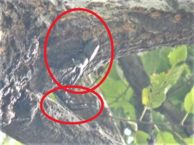 �m�R�M����x2��