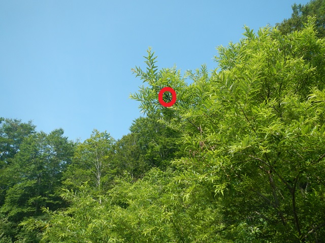 �A�J�A�V��