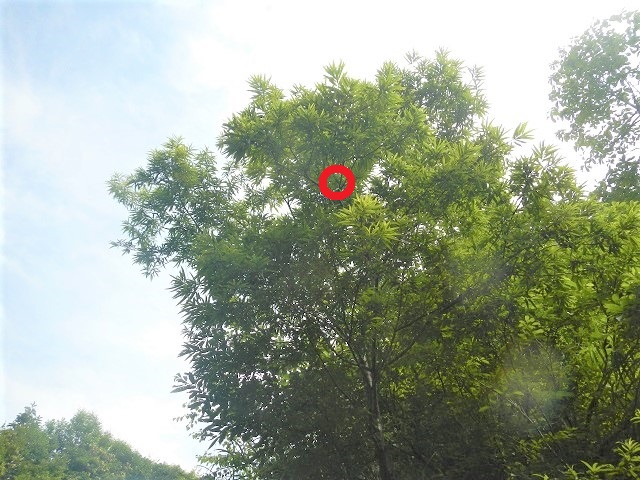 �A�J�A�V��