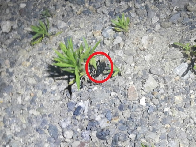 �~���}��