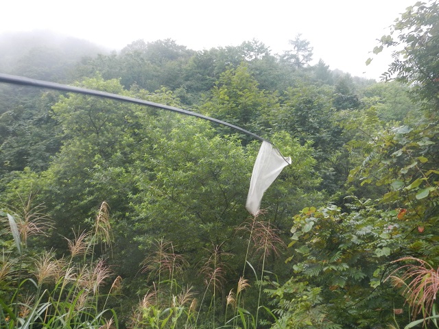 ���Ԃ�A�J�A�V��