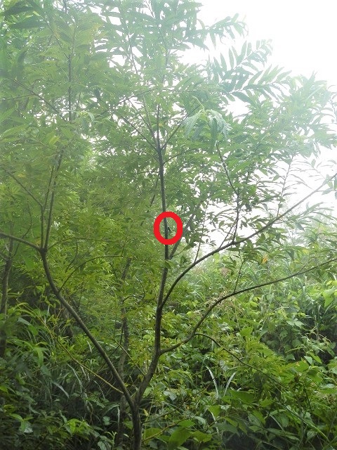 �q���I�I��