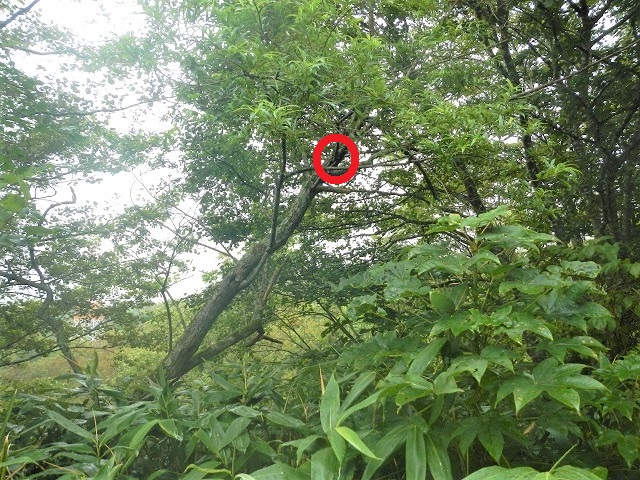 �q���I�I��