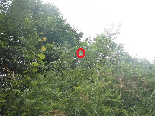 �A�J�A�V�y�A