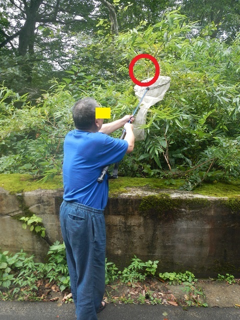 �q���I�I��