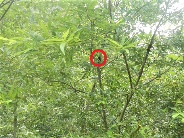 �q���I�I��