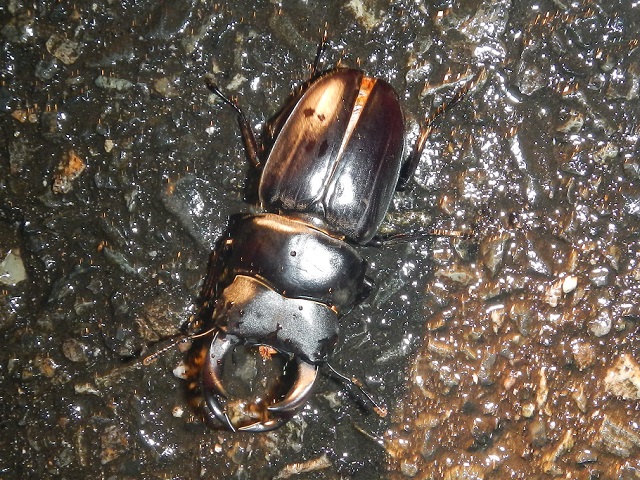 �I�I��60�~��