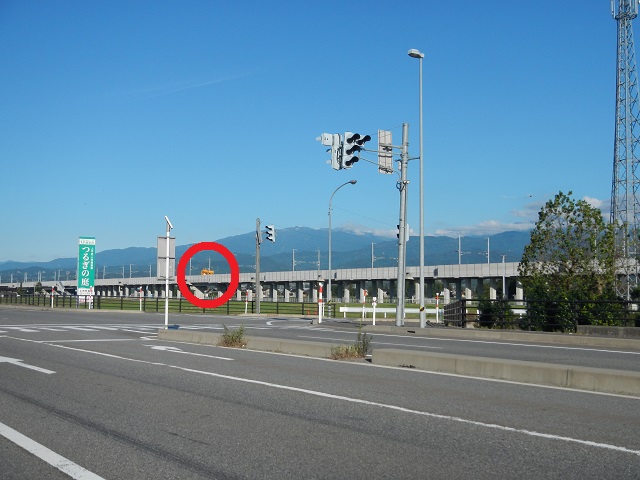 �h�N�^�[�C�G���[����Ȃ����F�̗��