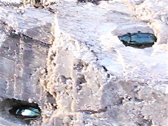 �z�\�c��������x2��