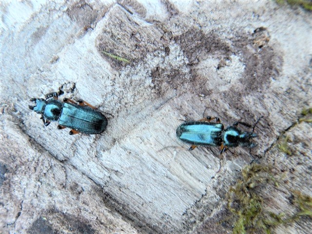 �z�\�c������2��