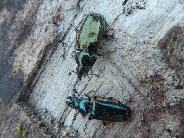 �z�\�c�������y�A