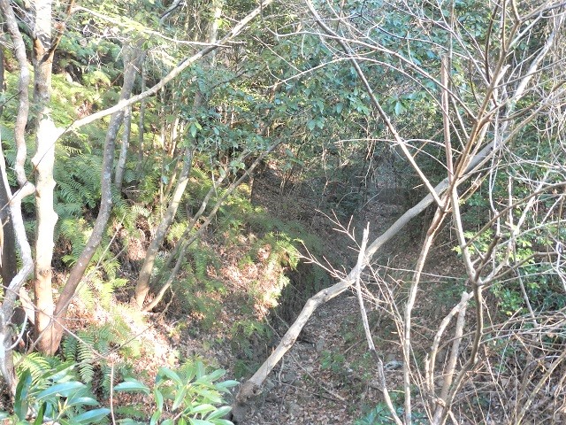 �R�߂���K�P