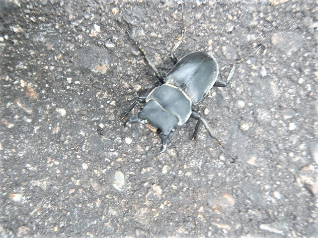 �q���I�I��