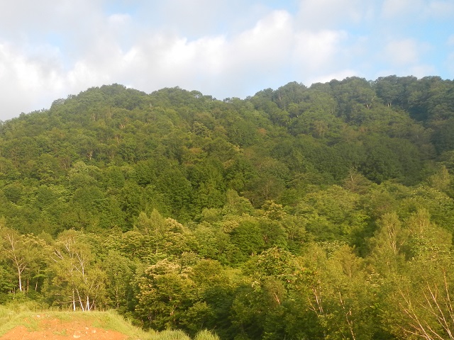 ���΃|�C���g