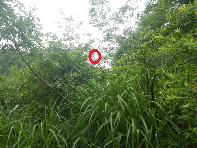 �A�J�A�V��