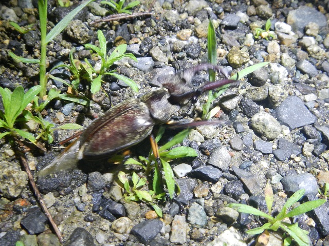 �~���}��