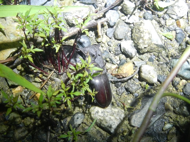 �~���}��