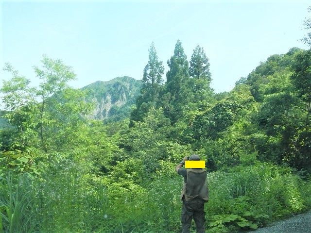 �o�ዾ��R����