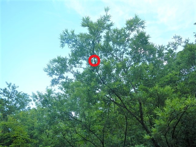 �A�J�A�V��