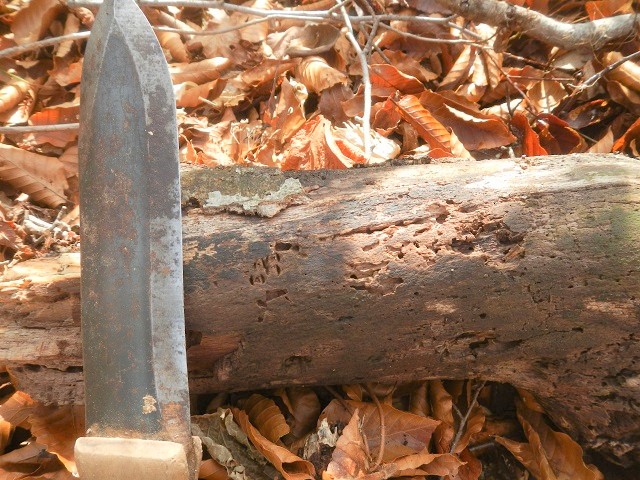 �Y���}�[�N