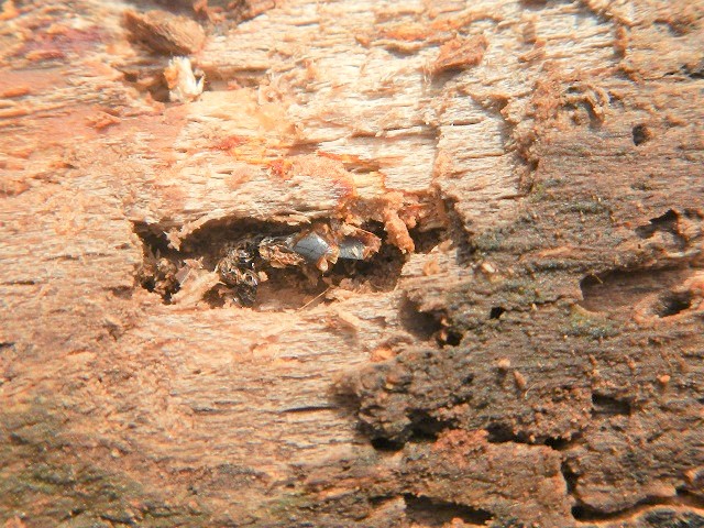 �j�V�R���������[