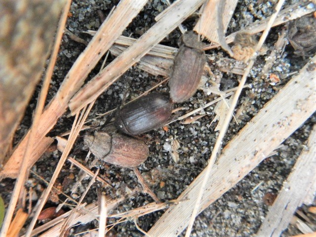 �}�O�\������