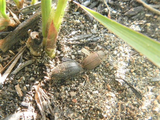 �}�O�\��(��)��