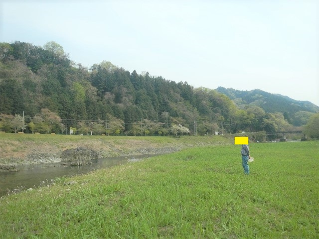 �勐�_����