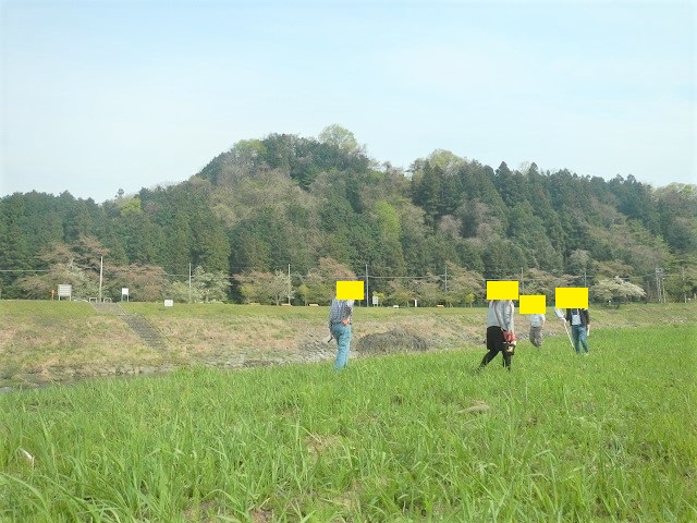 ������勐�_����E���햺�B����E�W���j�[����E�����^����