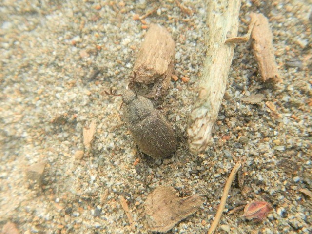 �W���j�[����}�O�\��