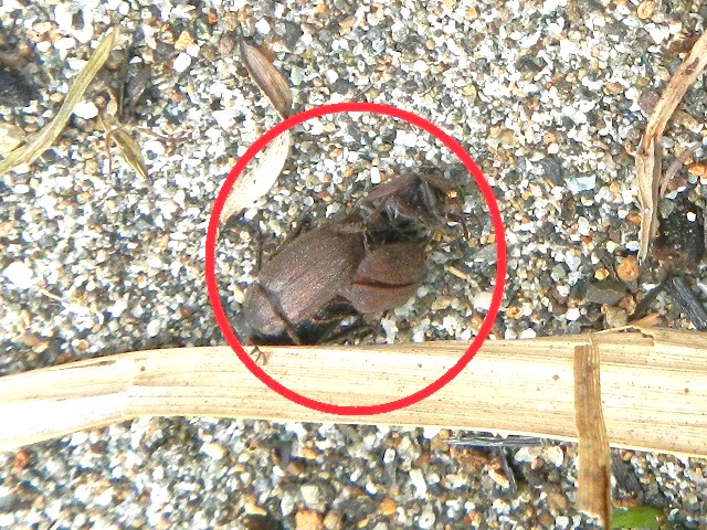 �}�O�\�c�q