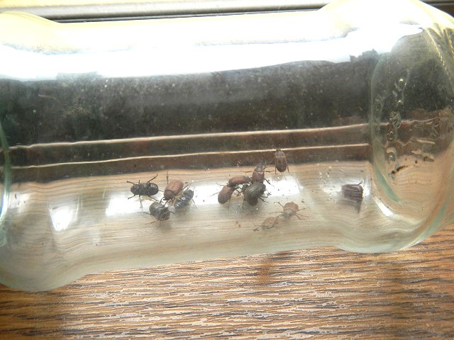 �}�O�\��x14��