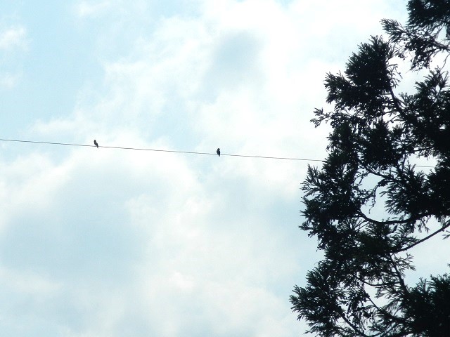 �u�b�|�E�\�E