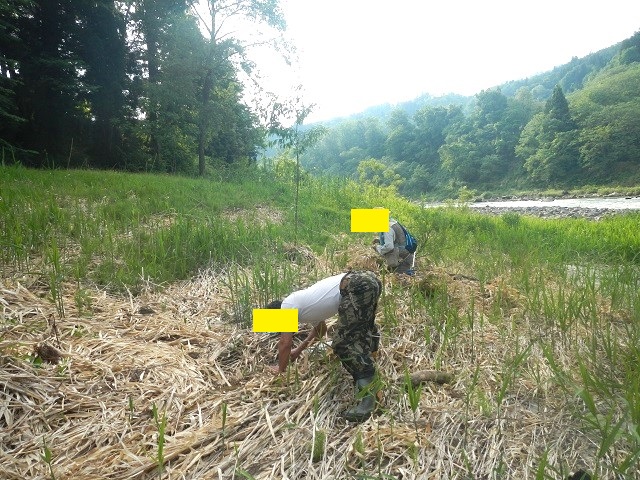 ���[����(��)�ƃW���j�[����