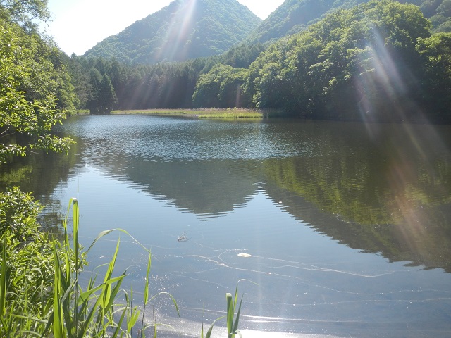 �A�~�ɂ͉��������Ă��Ȃ�