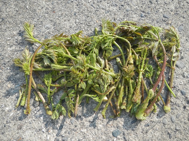 �^���m��