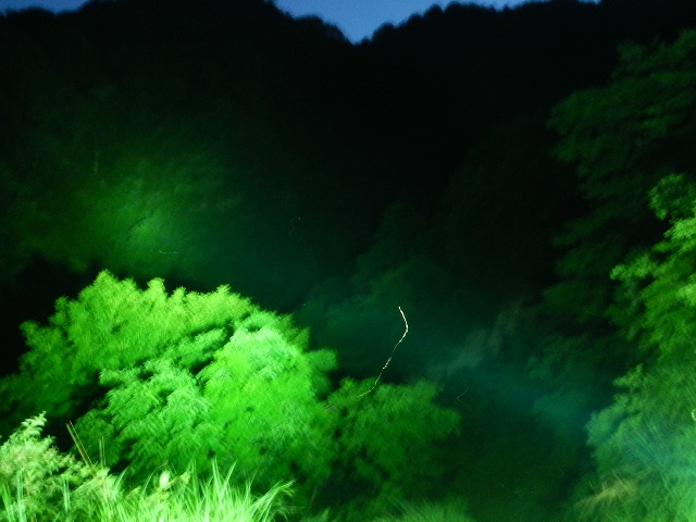 ���΍̏W�J�n