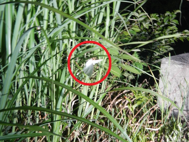 �I�I�~�Y�A�I