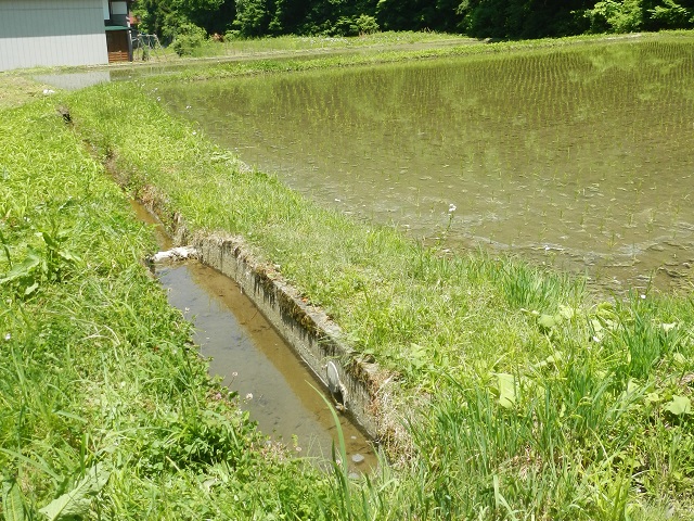 �������Ȃ�