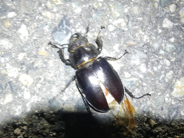 �~���}��