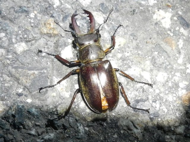 �~���}��