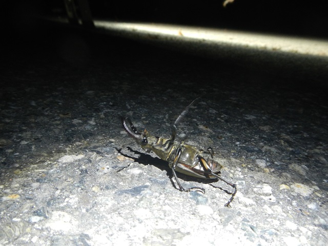 �~���}��