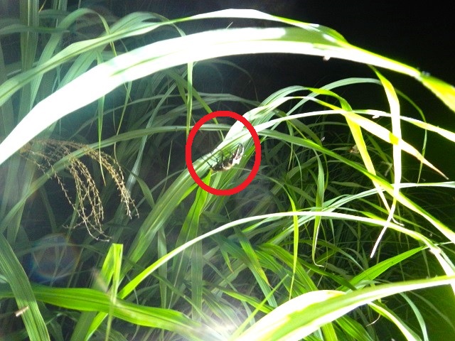 �~���}��