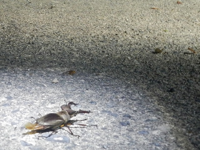 �~���}��