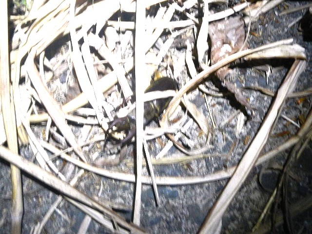 �~���}��