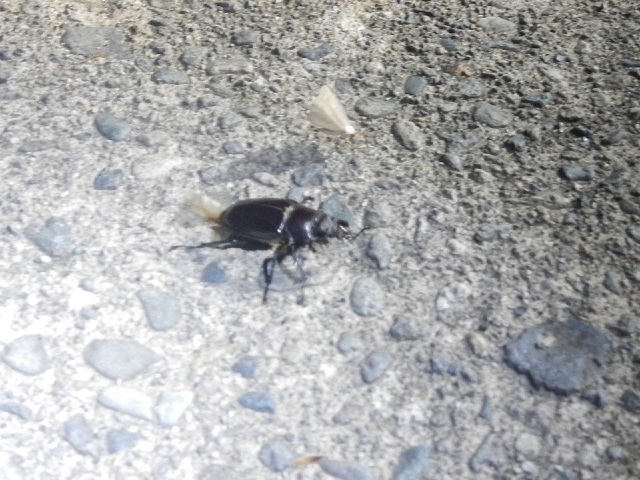 �~���}��