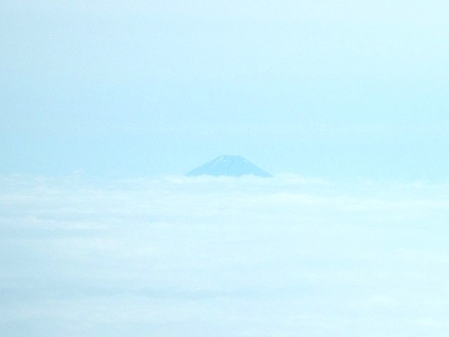 �����猩���x�m�R