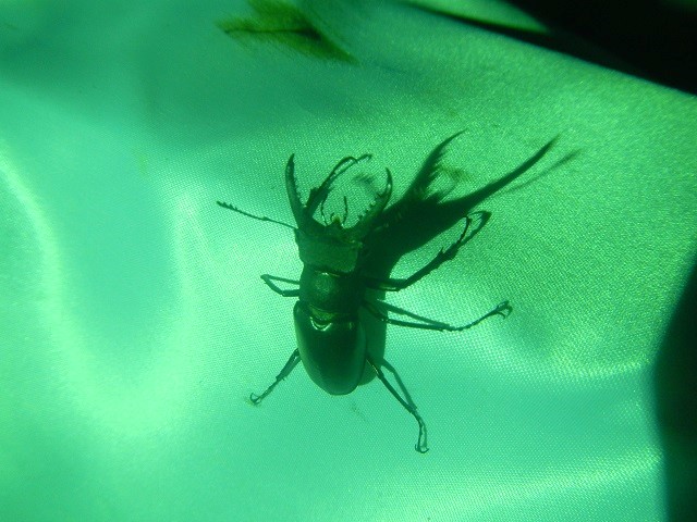 �q���~���}��