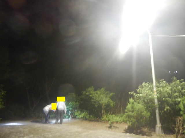 �I�l���V����(��)�ƃV�[������